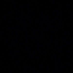 Meet your Posher, Dionte